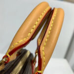 Louis Vuitton Nano speedy bag Brown